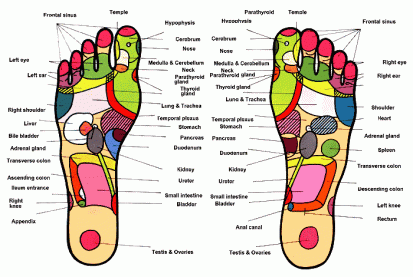 Reflexology Chart