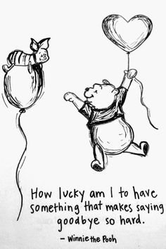 Winnie the Pooh